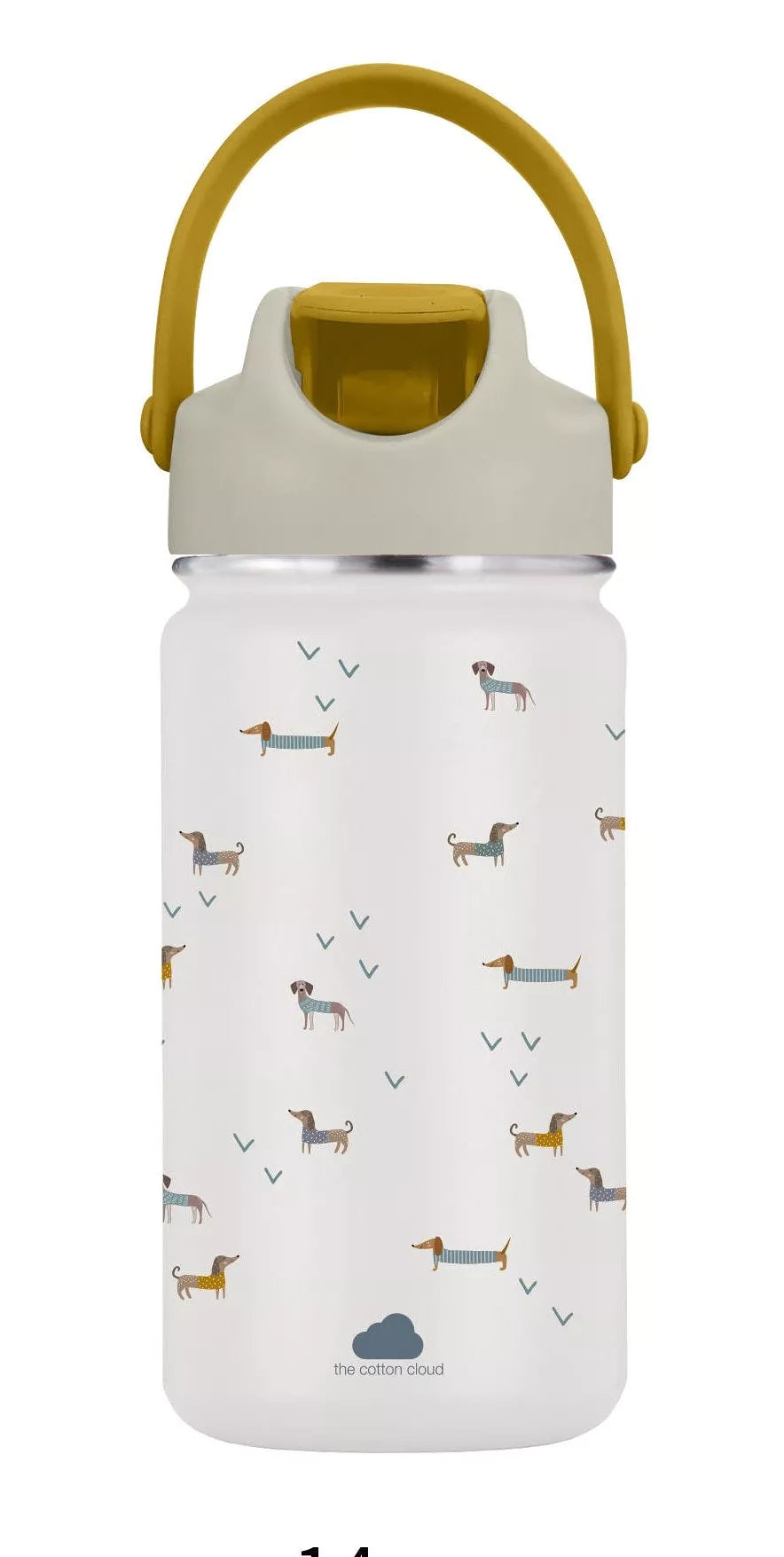 Insulated stainless steel water bottle