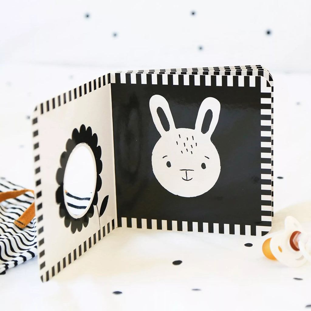 Contrasting book for babies: Baby Animals
